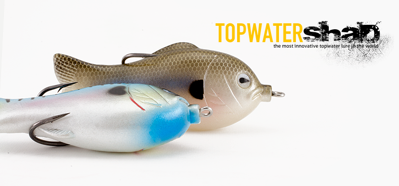 topwater shad