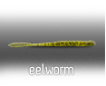 eel worm