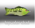 topwater shad